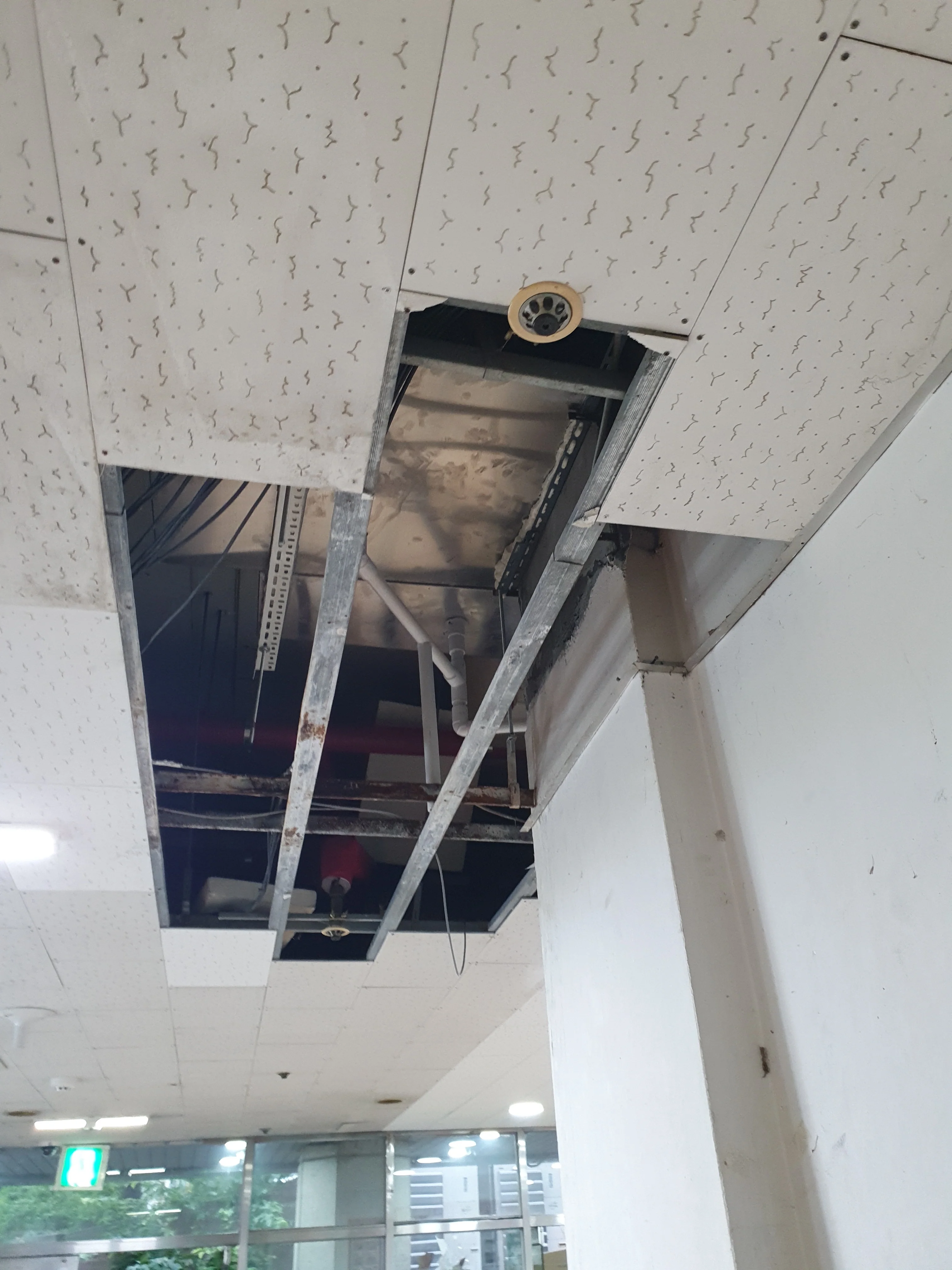 강서구 화장실 바닥 누수 부분 보수 사례 시공 사진 1